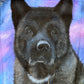 Custom Hand Painted Pet Portrait Denim Jacket | Unique Dog Portrait Jacket