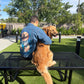 Custom Hand Painted Dog Portrait Denim Jacket | Personalized Pet Artwork Jacket