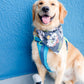 Custom Hand Painted Dog Portrait Denim Jacket | Personalized Pet Artwork Jacket