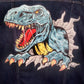 dinosaur jacket